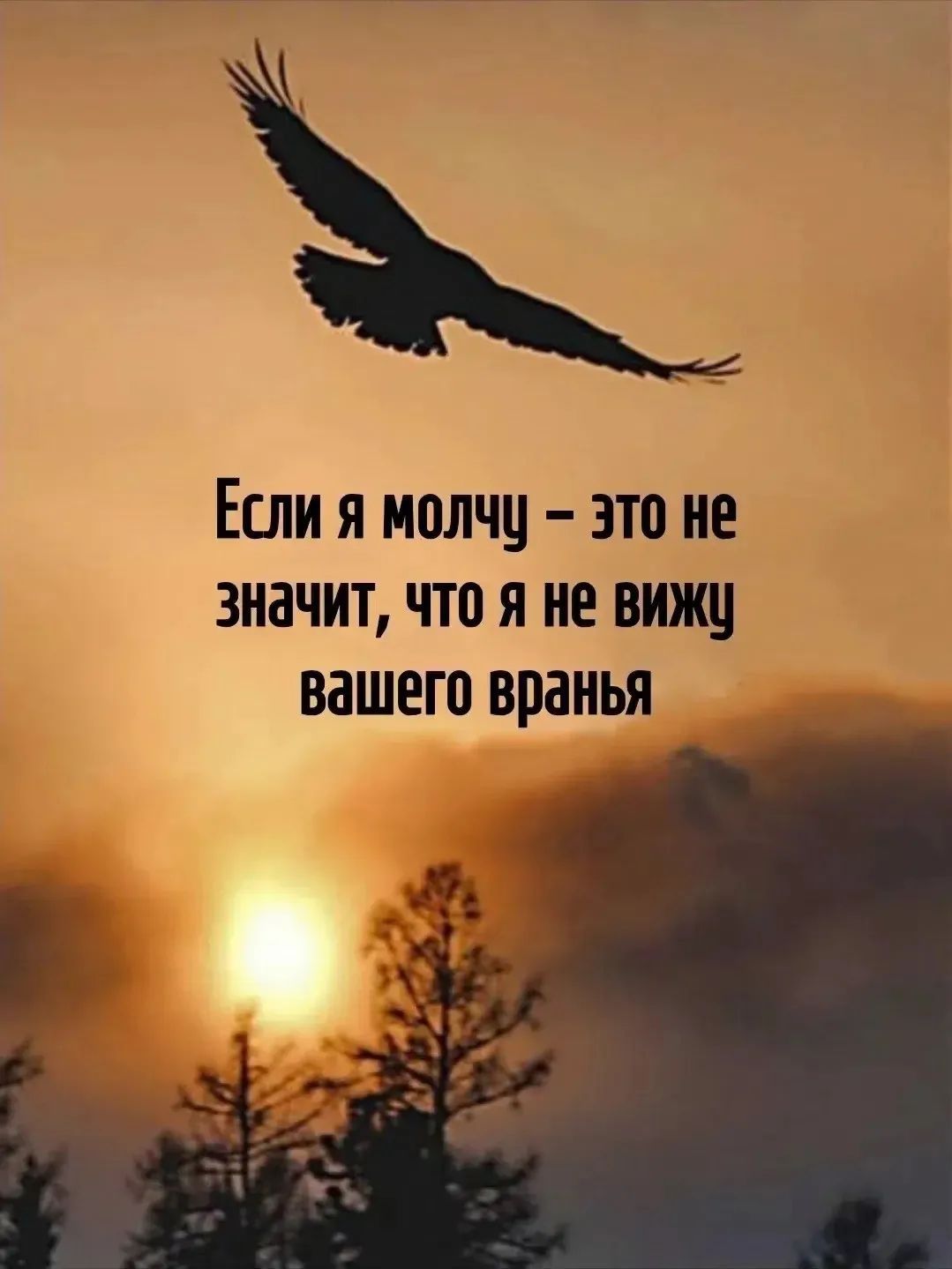 Если я молчу – это не значит, что я не вижу вашего вранья