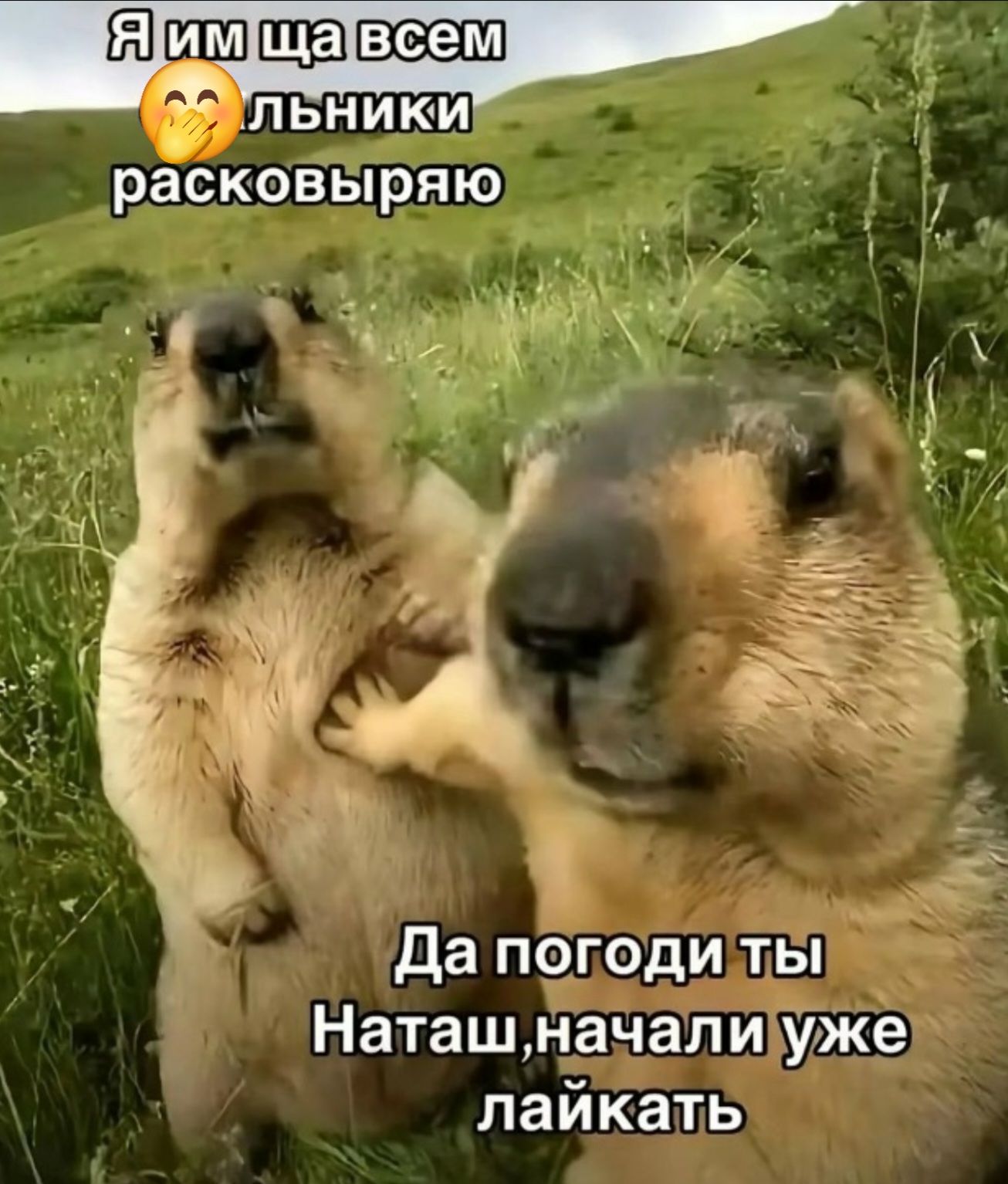 Я им ща всем ебальники расковыряю. Да погоди ты Наташ, начали уже лайкать