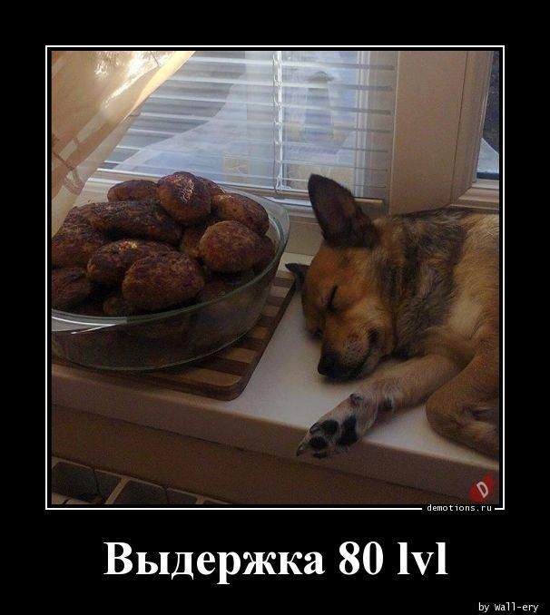 Выдержка 80 lvl