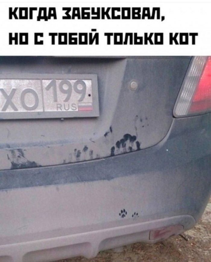 КОГДА ЗАБУКСОВАЛ, НО С ТОБОЙ ТОЛЬКО КОТ