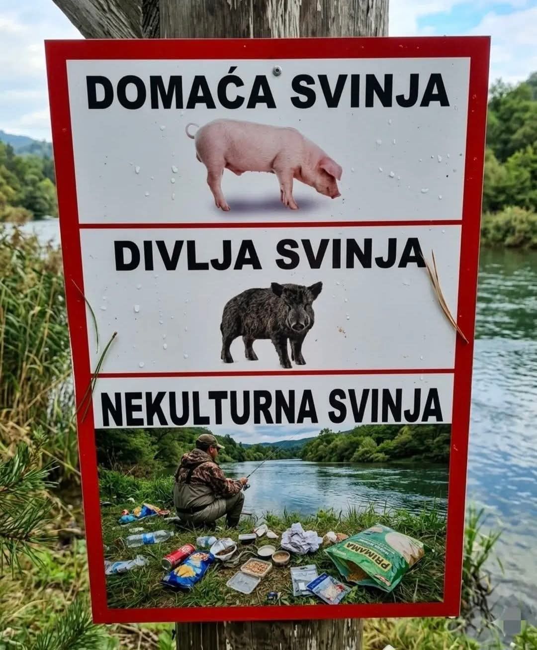 DOMAĆA SVINJA, DIVLJA SVINJA, NEKULTURNA SVINJA. На знаке изображены домашняя свинья, дикая свинья и некультурная свинья (рыбак, оставивший мусор).