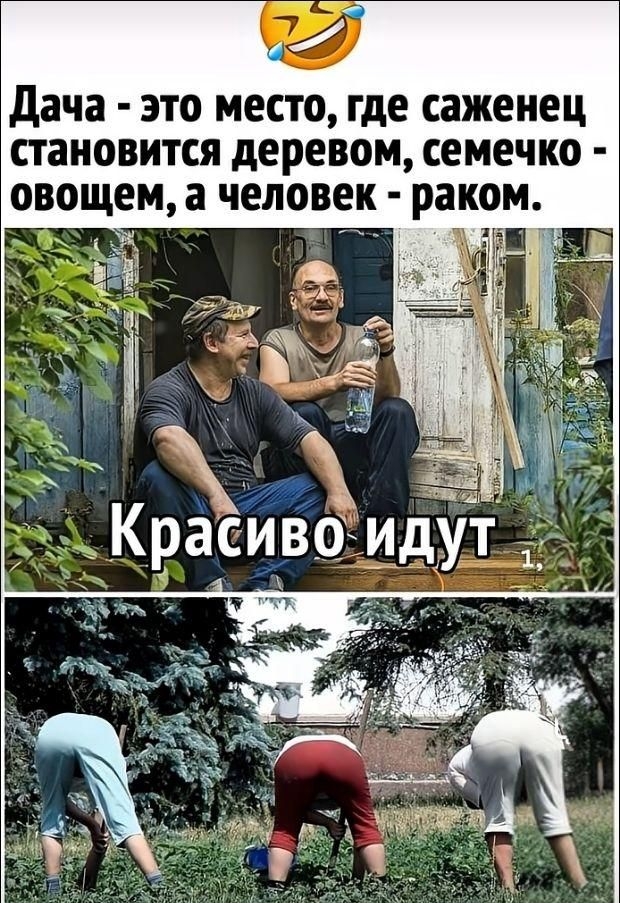 Дача - это место, где саженец становится деревом, семечко - овощем, а человек - раком. Красиво идут