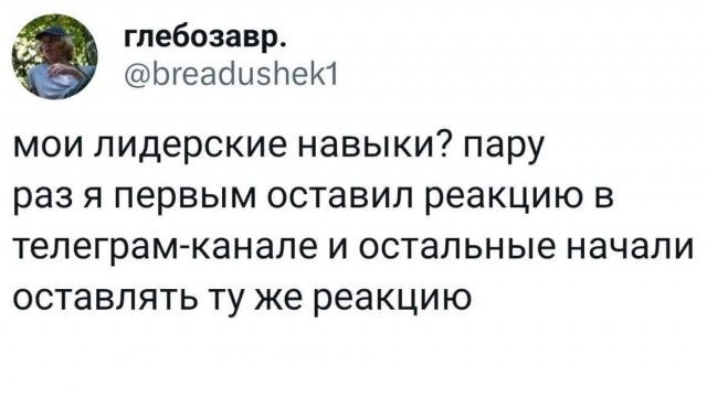 мои лидерские навыки? пару раз я первым оставил реакцию в телеграм-канале и остальные начали оставлять ту же реакцию