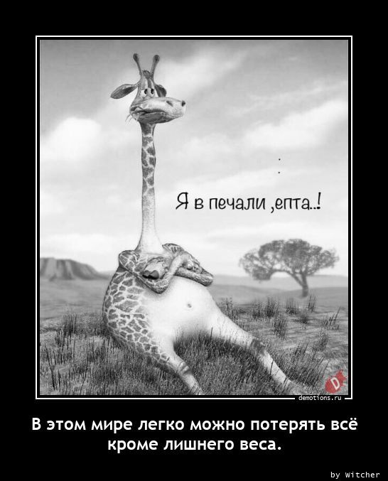 Я в печали ,епта..! В этом мире легко можно потерять всё кроме лишнего веса.