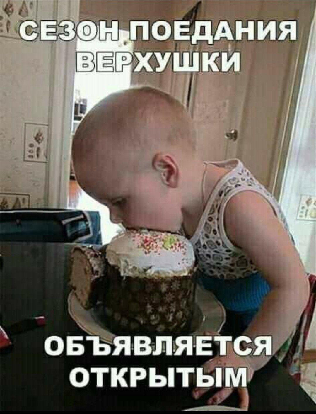 СЕЗОН ПОЕДАНИЯ ВЕРХУШКИ ОБЪЯВЛЯЕТСЯ ОТКРЫТЫМ