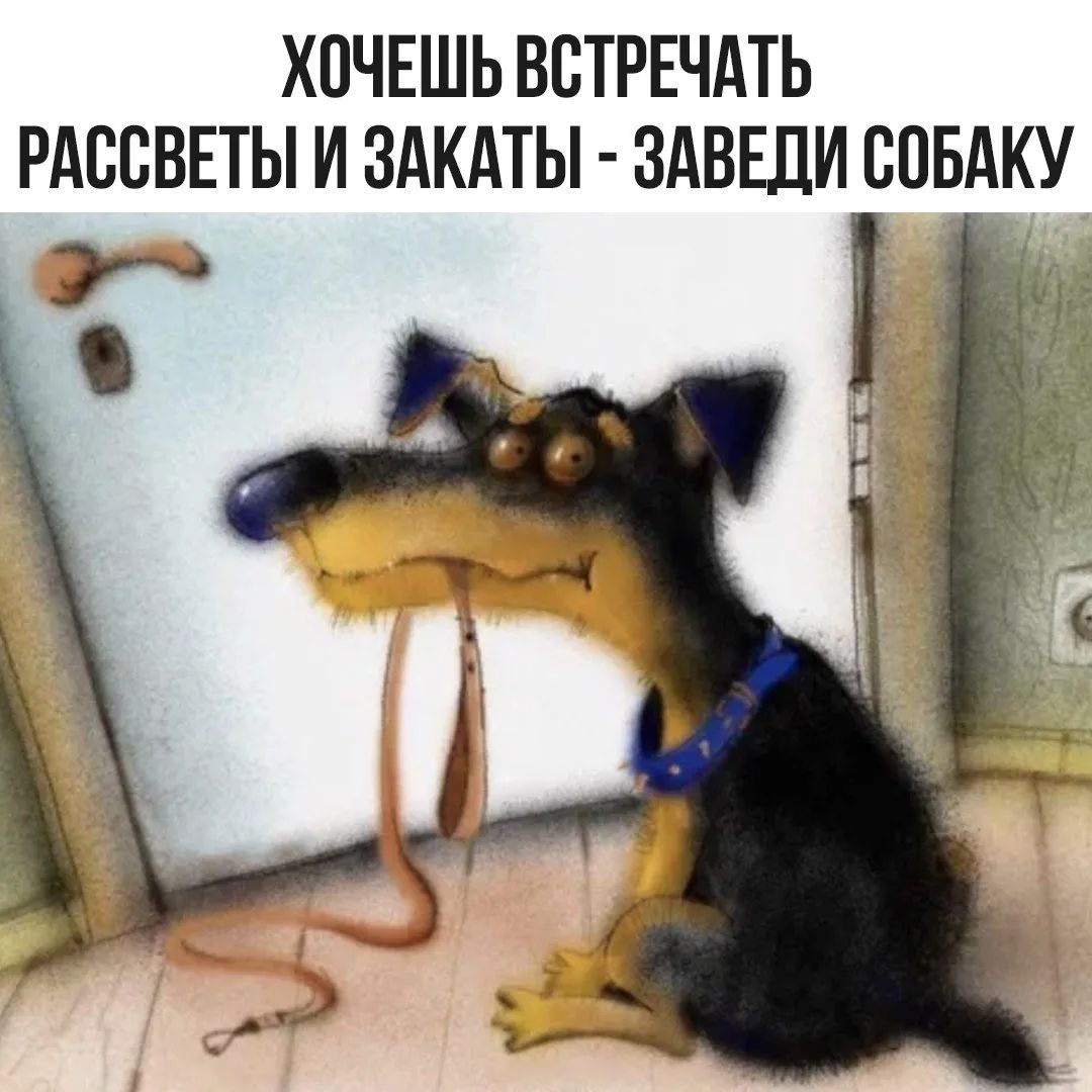 ХОЧЕШЬ ВСТРЕЧАТЬ РАССВЕТЫ И ЗАКАТЫ - ЗАВЕДИ СОБАКУ