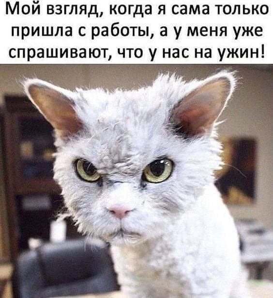 Мой взгляд, когда я сама только пришла с работы, а у меня уже спрашивают, что у нас на ужин!