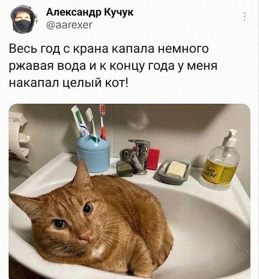 Александр Кучук @aarexer Весь год с крана капала немного ржавая вода и к концу года у меня накапал целый кот!