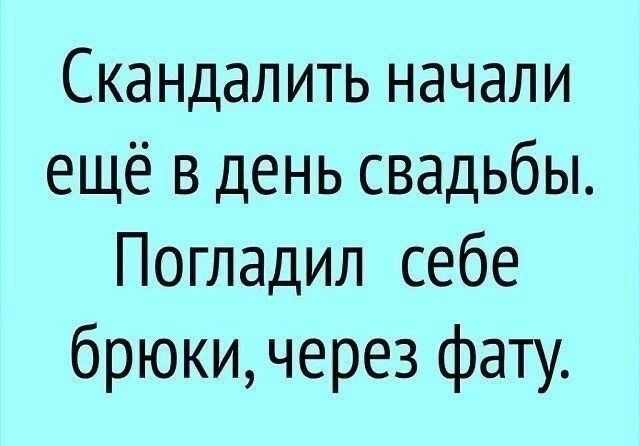 Скандалить начали ещё в день свадьбы. Погладил себе брюки, через фату.