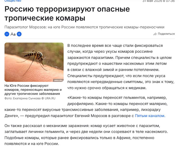 Общество
31 мая 2026 в 07:36
Россию терроризируют опасные тропические комары
Паразитолог Морозов: на юге России появляются тропические комары-переносчики
Aa+ Поделиться
В последнее время все чаще стали фиксироваться случаи, когда через укусы комаров россияне заражаются паразитами. Причем специалисты в целом предупреждают о нашествии насекомых этим