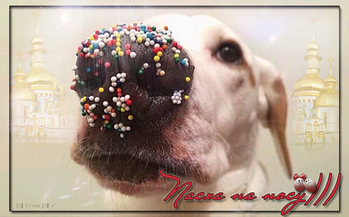 Пасха на носу