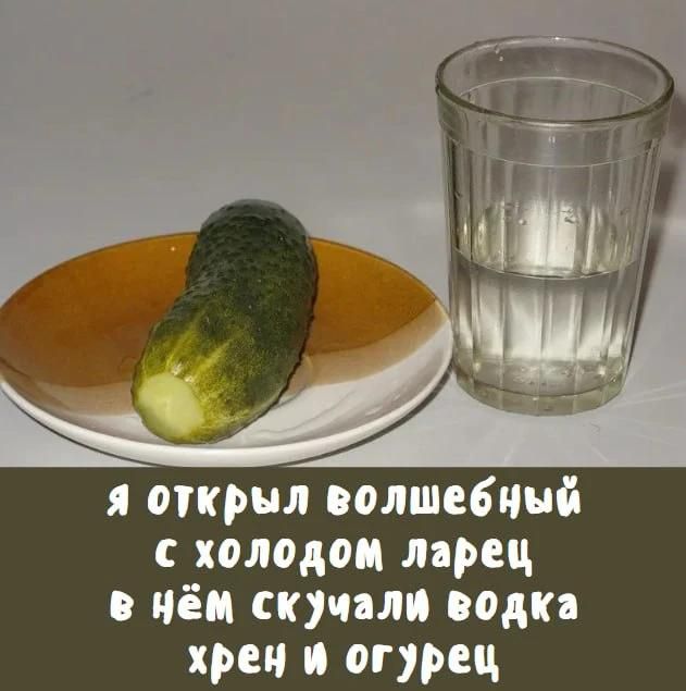 Я открыл волшебный с холодом ларец в нём скучали водка хрен и огурец