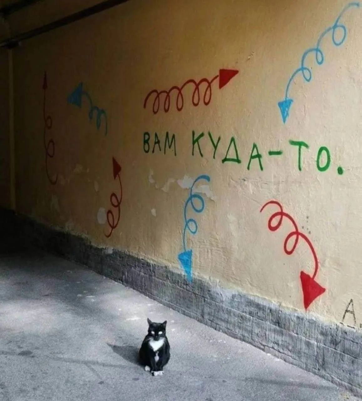 ВАМ КУДА-ТО.