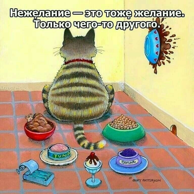 Нежелание — это тоже желание. Только чего-то другого.