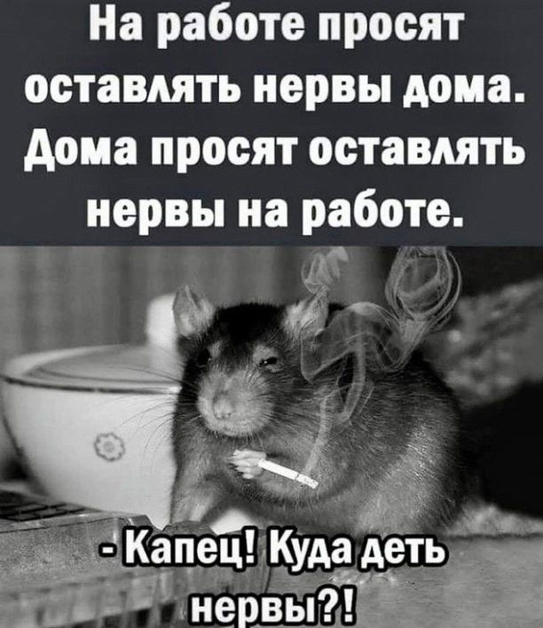 На работе просят оставлять нервы дома. Дома просят оставлять нервы на работе. - Капец! Куда деть нервы?!