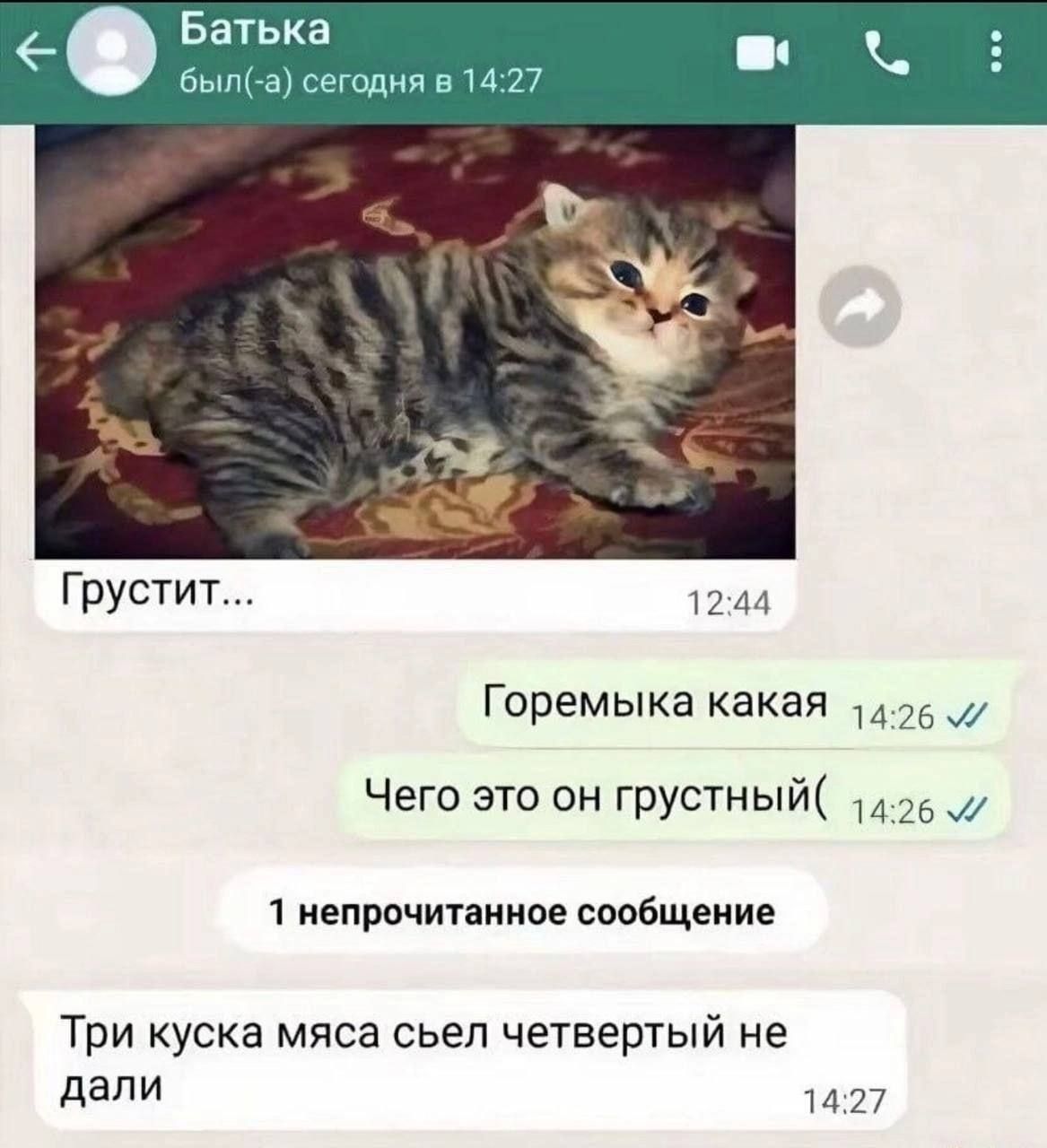 Батька: Грустит... Горемыка какая. Чего это он грустный. Три куска мяса съел четвертый не дали