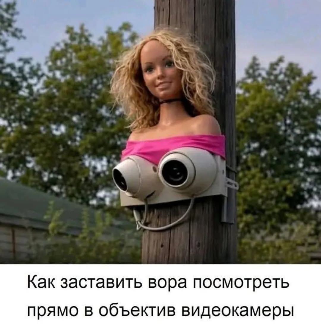 Как заставить вора посмотреть прямо в объектив видеокамеры