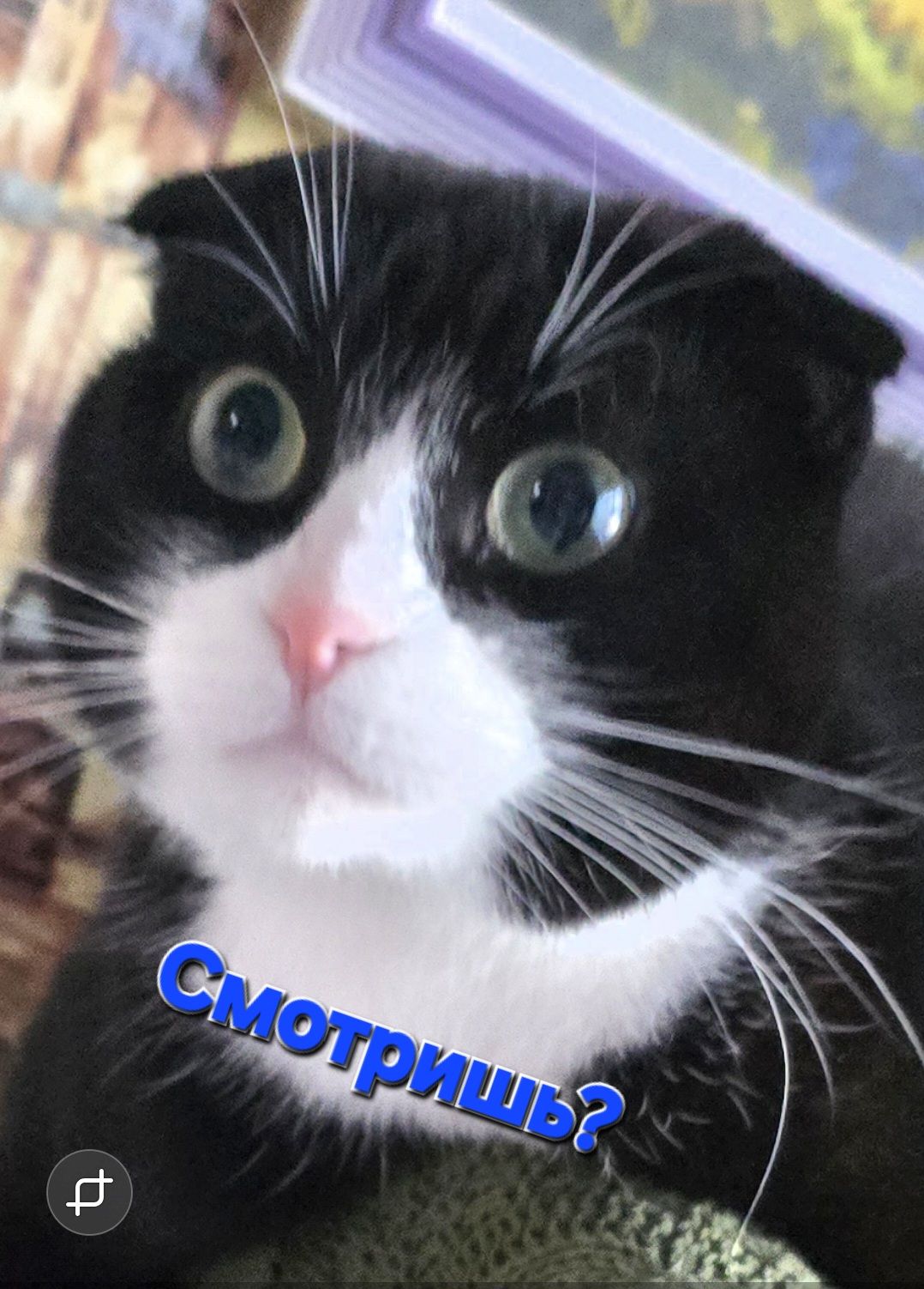 Смотришь?