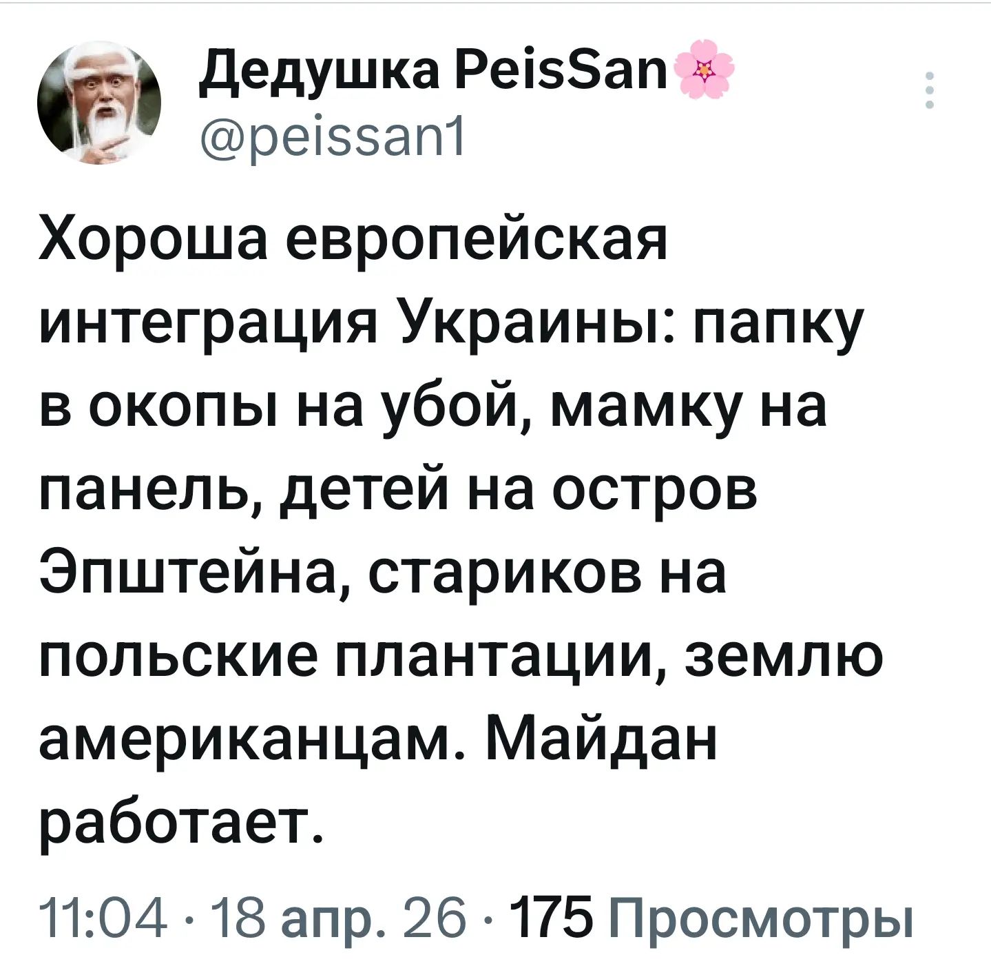 Дедушка PeisSan @peissan1 Хороша европейская интеграция Украины: папку в окопы на убой, мамку на панель, детей на остров Эпштейна, стариков на польские плантации, землю американцам. Майдан работает. 11:04 · 18 апр. 26 · 175 Просмотры