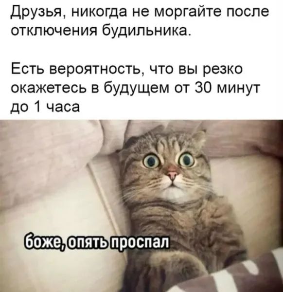 Друзья, никогда не моргайте после отключения будильника. Есть вероятность, что вы резко окажетесь в будущем от 30 минут до 1 часа. боже, опять проспал