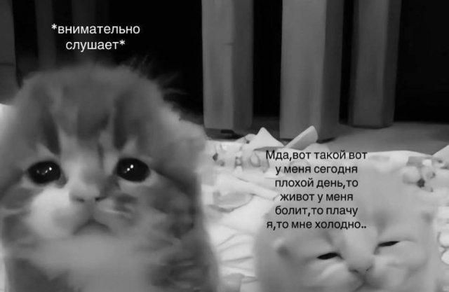 *внимательно слушает* Мда, вот такой вот у меня сегодня плохой день, то живот у меня болит, то плачу я, то мне холодно..