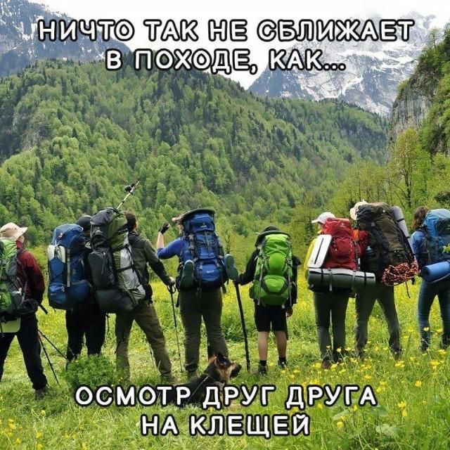 Ничто так не сближает в походе, как... осмотр друг друга на клещей