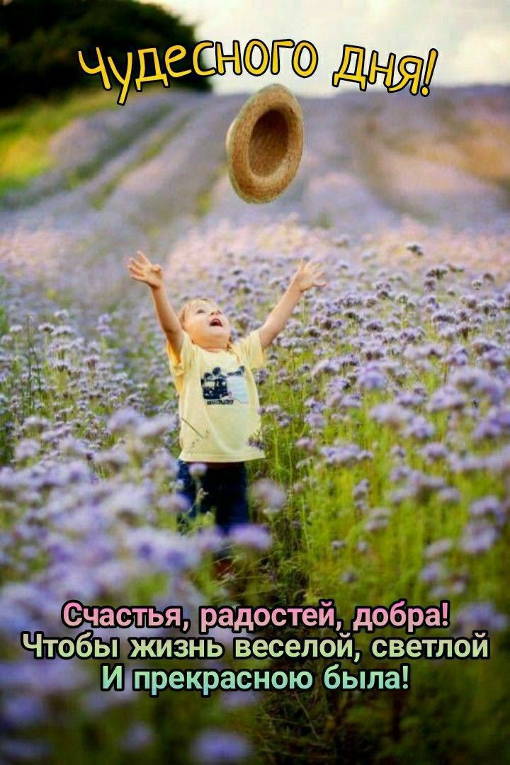 Чудесного дня! Счастья, радостей, добра! Чтобы жизнь веселой, светлой и прекрасною была!