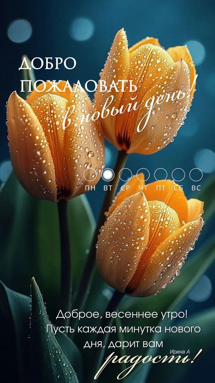 ДОБРО ПОЖАЛОВАТЬ в новый день! ПН ВТ СР ЧТ ПТ СБ ВС Доброе, весеннее утро! Пусть каждая минутка нового дня, дарит вам радость! Ирина А