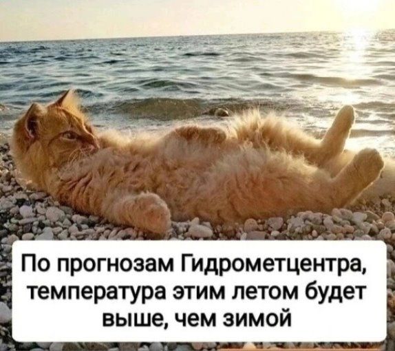 По прогнозам Гидрометцентра, температура этим летом будет выше, чем зимой