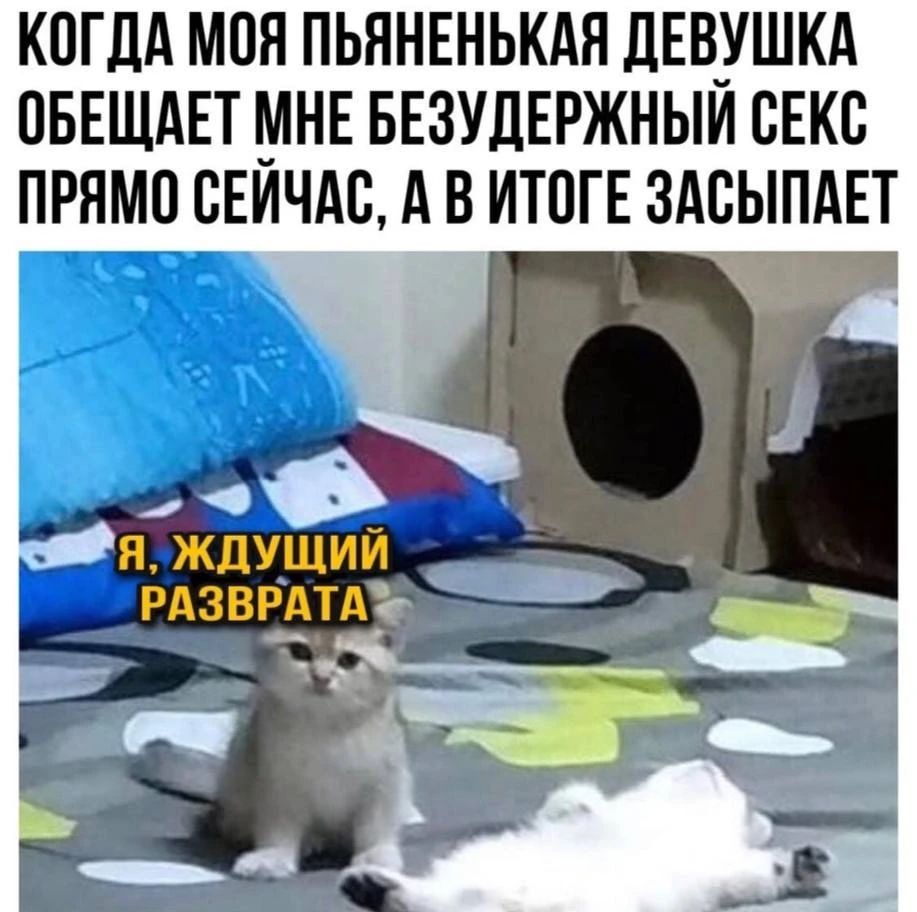 КОГДА МОЯ ПЬЯНЕНЬКАЯ ДЕВУШКА ОБЕЩАЕТ МНЕ БЕЗУДЕРЖНЫЙ СЕКС ПРЯМО СЕЙЧАС, А В ИТОГЕ ЗАСЫПАЕТ Я, ЖДУЩИЙ РАЗВРАТА