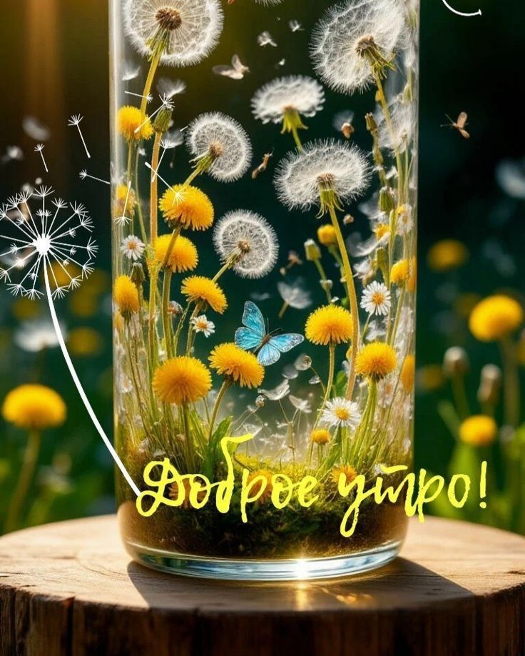 Доброе утро!