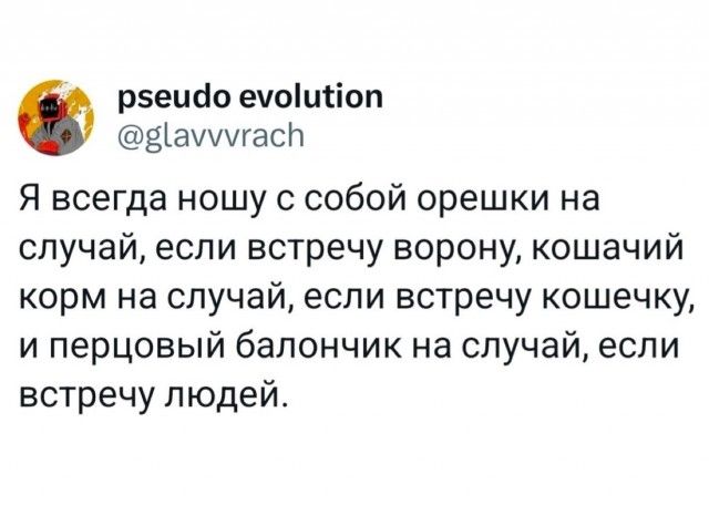 Я всегда ношу с собой орешки на случай, если встречу ворону, кошачий корм на случай, если встречу кошечку, и перцовый балончик на случай, если встречу людей.