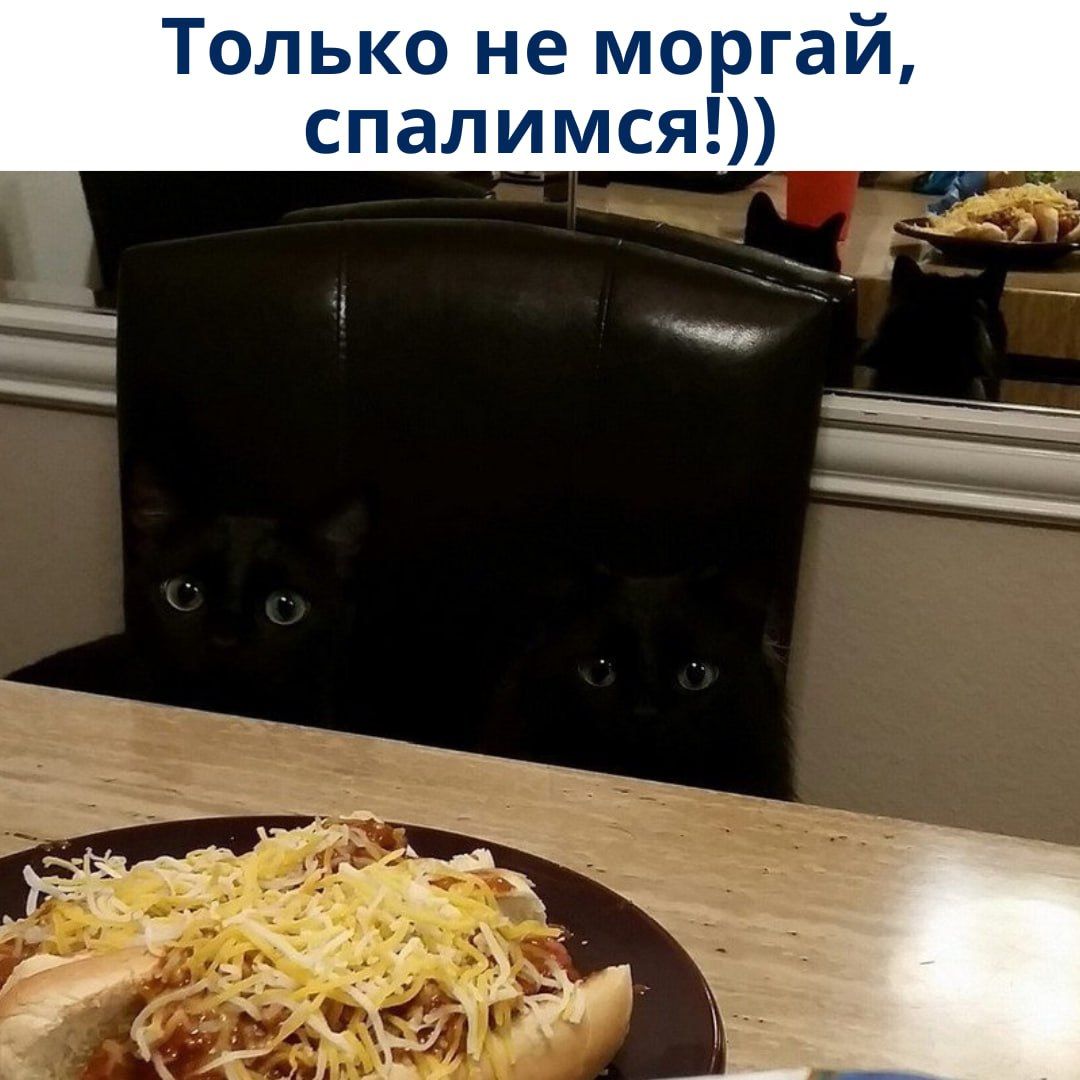 Только не моргай, спалимся!))