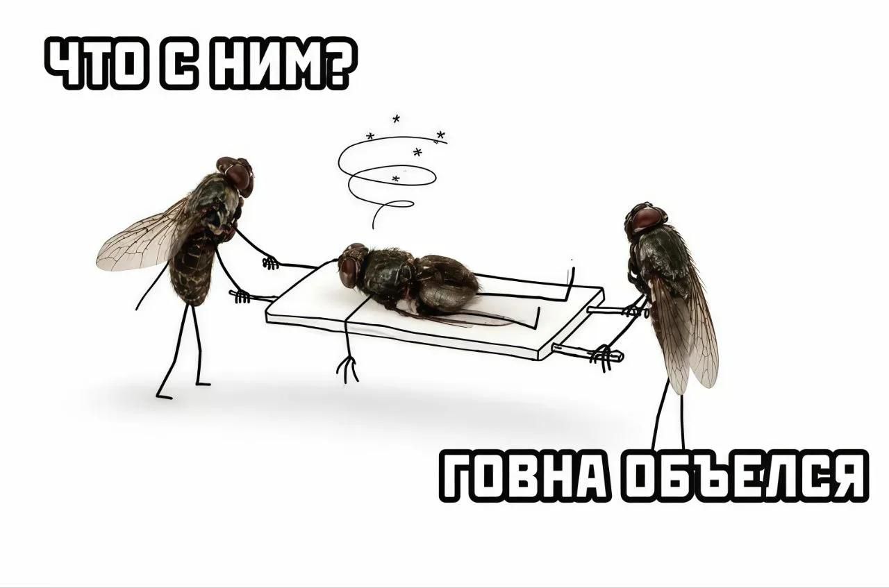 ЧТО С НИМ? ГОВНА ОБЪЕЛСЯ