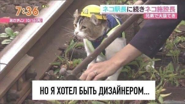 НО Я ХОТЕЛ БЫТЬ ДИЗАЙНЕРОМ...
