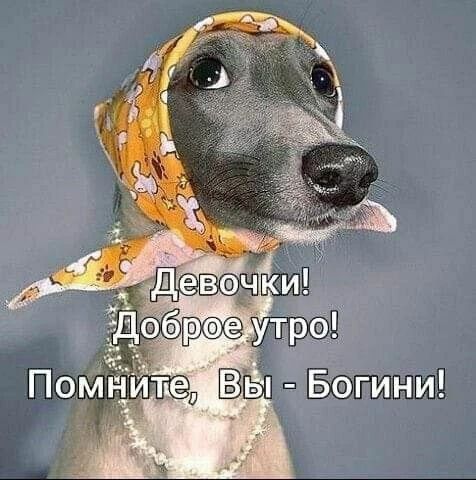 Девочки! Доброе утро! Помните, Вы - Богини!