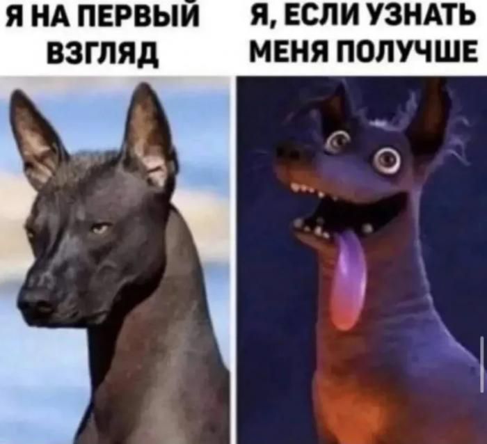 Я НА ПЕРВЫЙ ВЗГЛЯД. Я, ЕСЛИ УЗНАТЬ МЕНЯ ПОЛУЧЕ