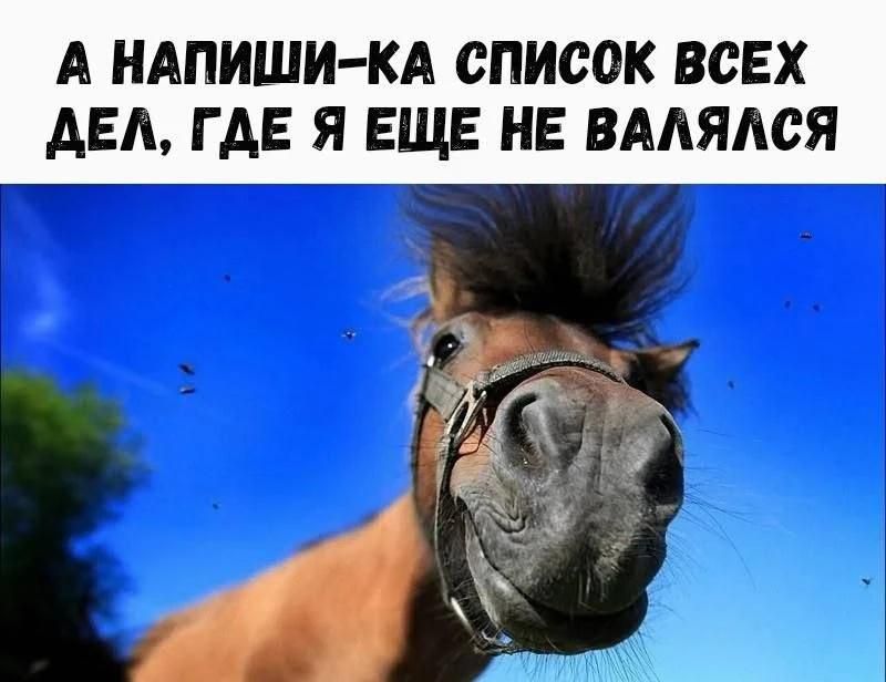 А напиши-ка список всех дел, где я еще не валялся