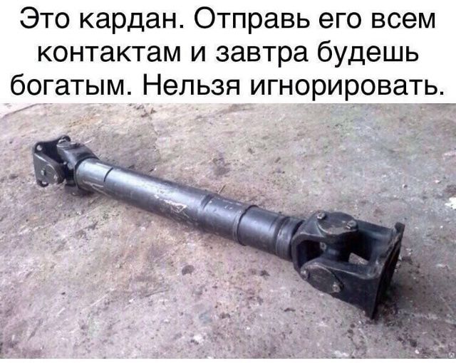 Это кардан. Отправь его всем контактам и завтра будешь богатым. Нельзя игнорировать.