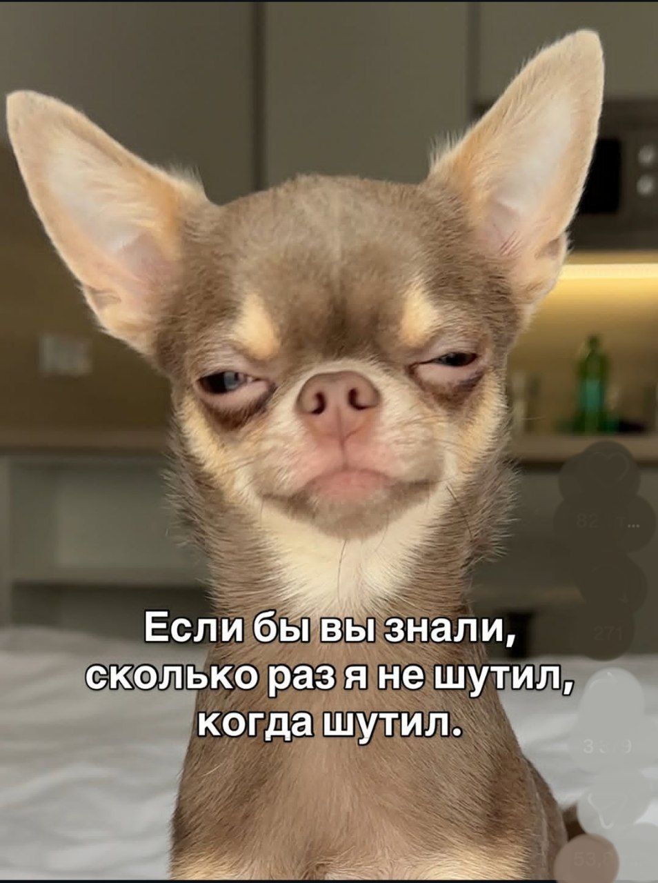 Если бы вы знали, сколько раз я не шутил, когда шутил.