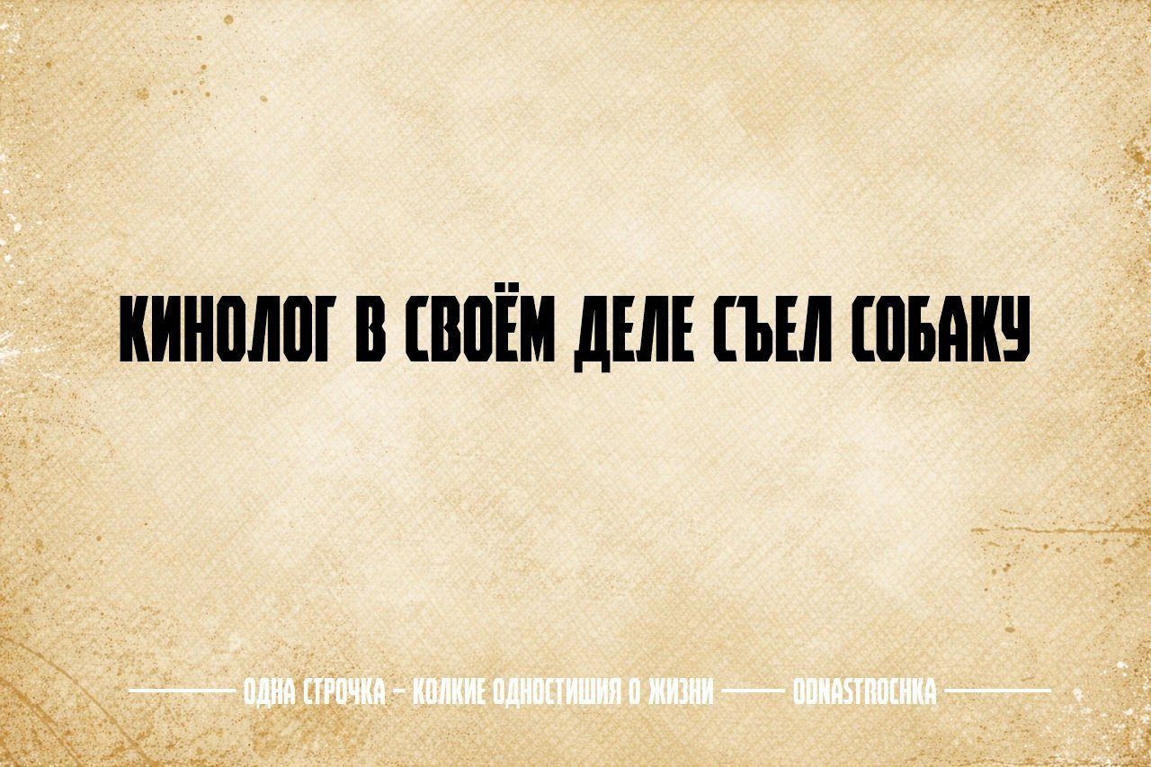КИНОЛОГ В СВОЁМ ДЕЛЕ СЪЕЛ СОБАКУ. ОДНА СТРОЧКА — КОЛКИЕ ОДНОСТИШИЯ О ЖИЗНИ — ODNASTROCHKA.
