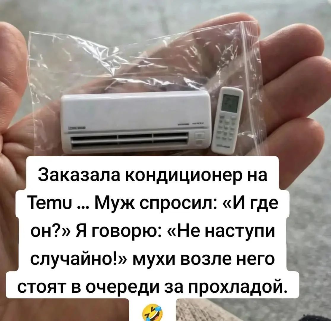 Заказала кондиционер на Temu ... Муж спросил: «И где он?» Я говорю: «Не наступи случайно!» мухи возле него стоят в очереди за прохладой.