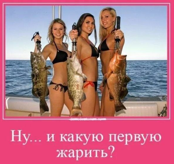 Ну... и какую первую жарить?