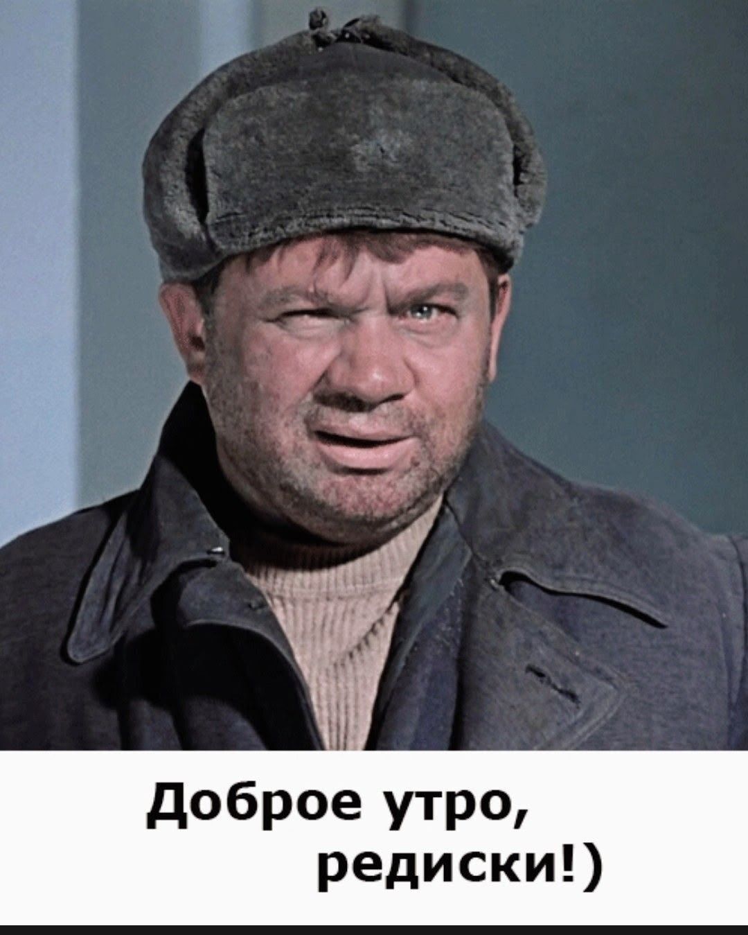 Доброе утро, редиски!
