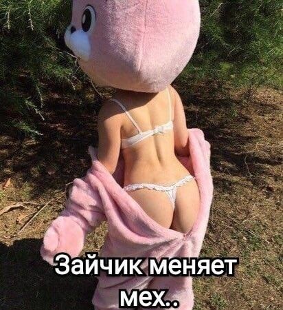 Зайчик меняет мех..