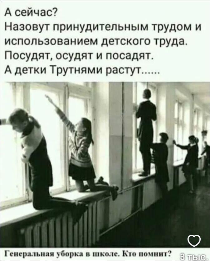 А сейчас? Назовут принудительным трудом и использованием детского труда. Посудят, осудят и посадят. А детки Трутнями растут...... Генеральная уборка в школе. Кто помнит?