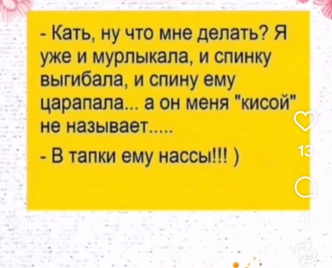 - Кать, ну что мне делать? Я уже и мурлыкала, и спинку выгибала, и спину ему царапала... а он меня 