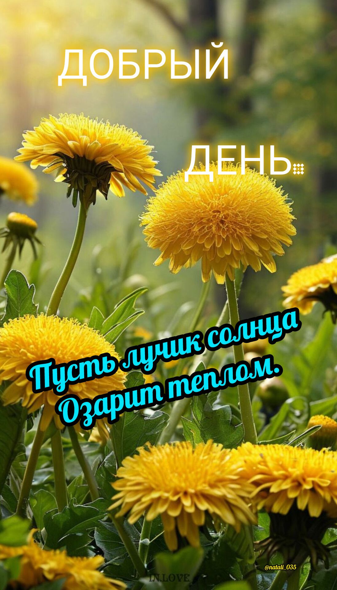 ДОБРЫЙ ДЕНЬ: Пусть лучик солнца Озарит теплом.