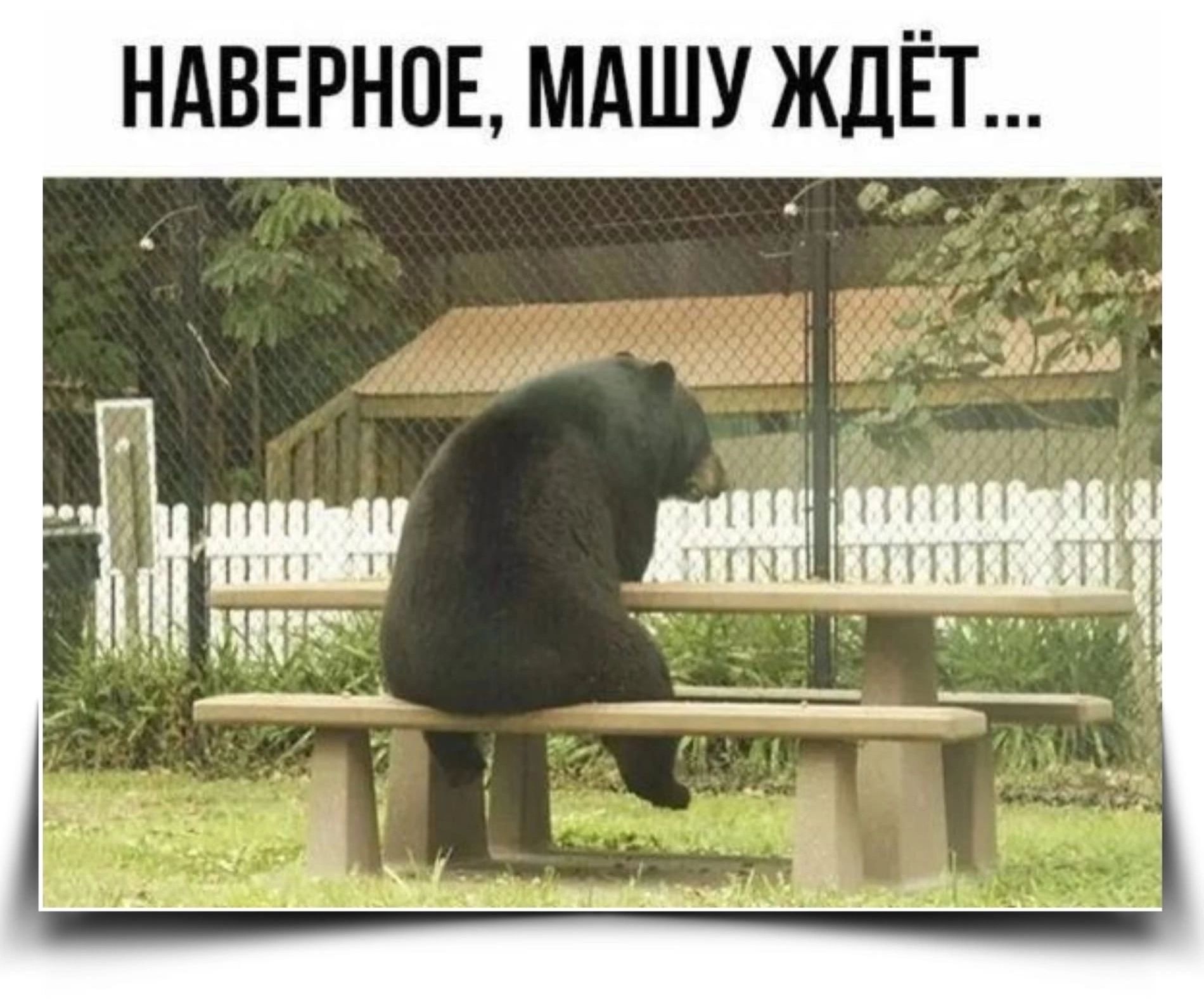 НАВЕРНОЕ, МАШУ ЖДЁТ...