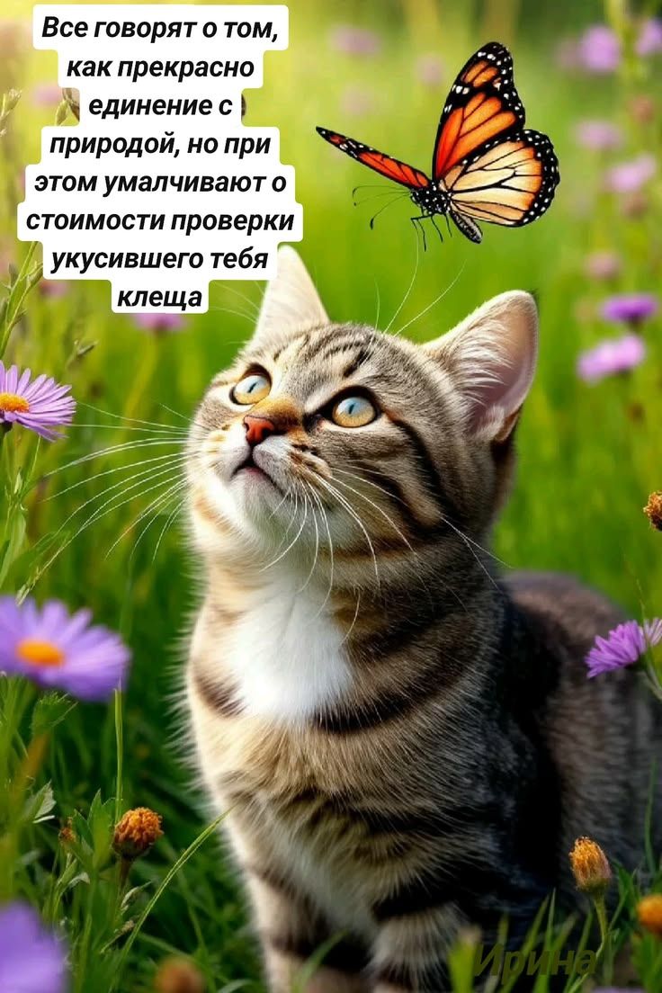 Все говорят о том, как прекрасно единение с природой, но при этом умалчивают о стоимости проверки укусившего тебя клеща